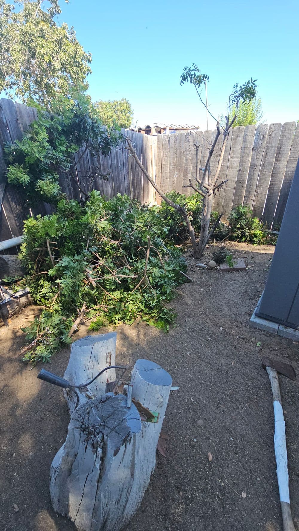 Tree debris and trimmed branches in a backyard beside a weathered wooden fence.