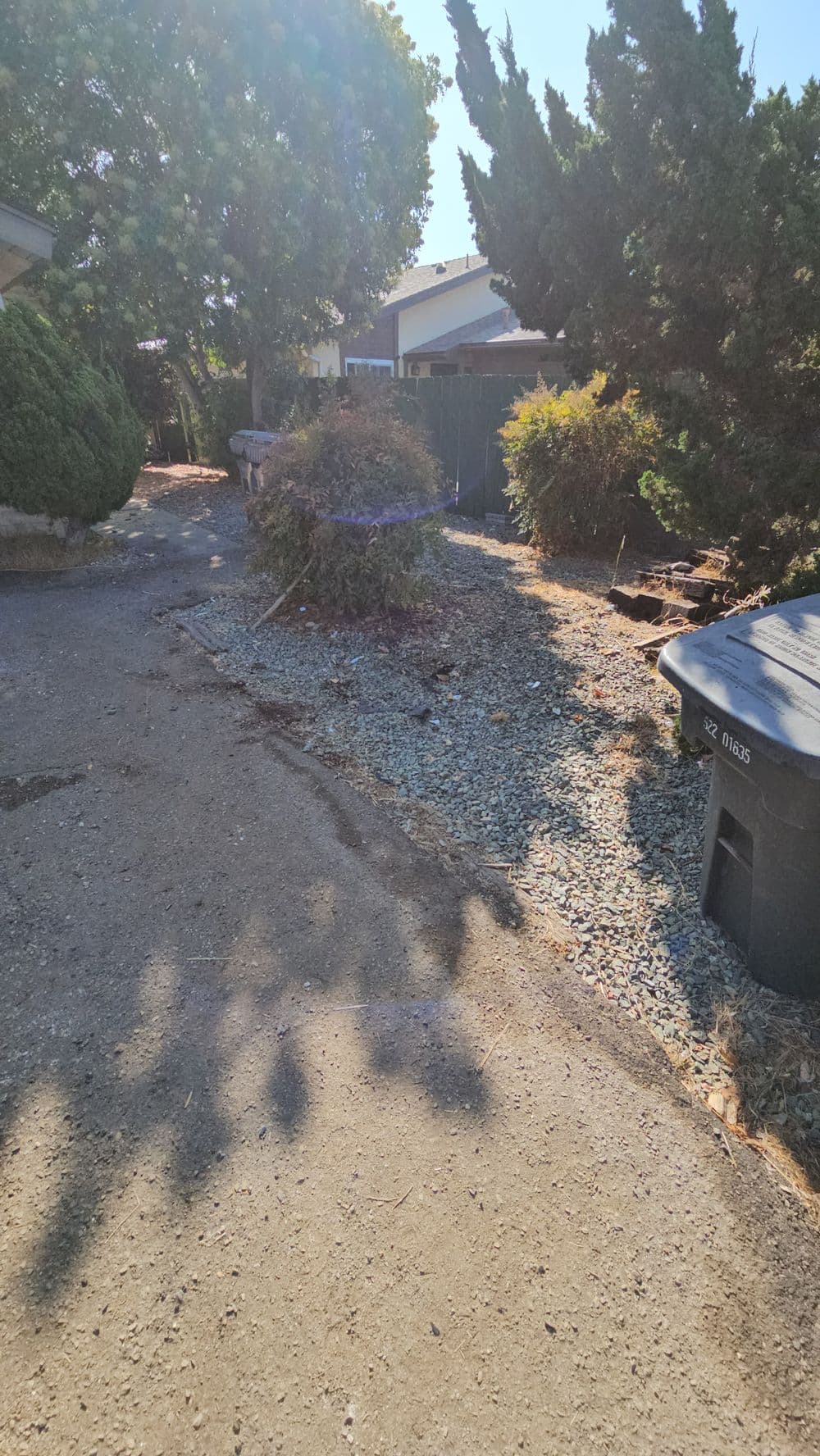 Driveway lined with shrubs and trees, featuring a trash bin and gravel path in sunlight.