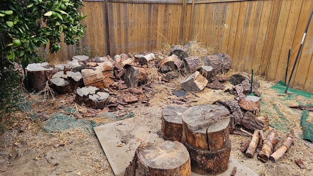 Wood pile in backyard with cut logs and bark near wooden fence and dry grass.