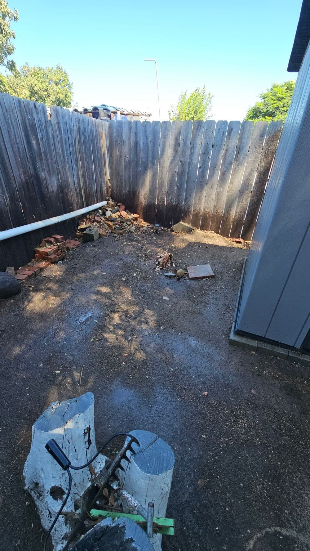 Overgrown backyard corner with a wooden fence, debris, and a concrete slab.