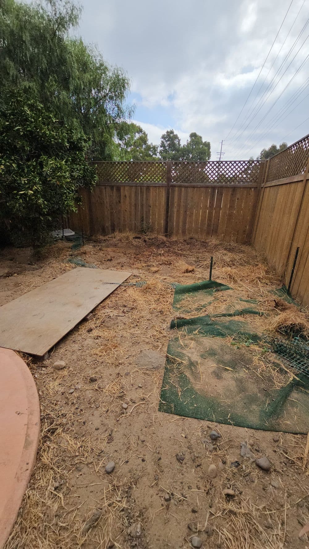 Garden area with sparse grass, straw, and wooden fence under cloudy sky.