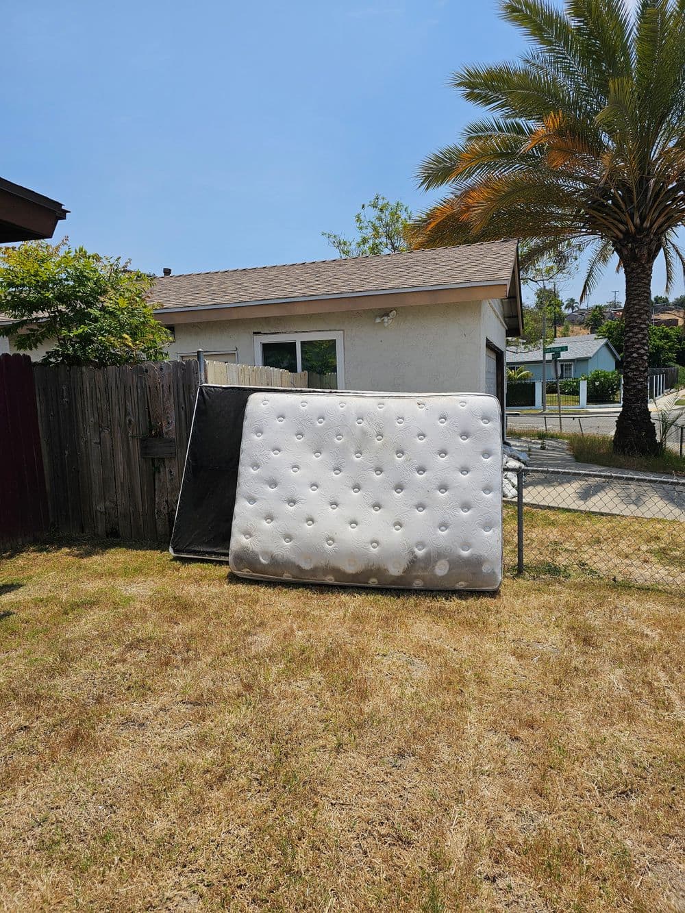 Mattress leaning against a fence in a yard with a palm tree and house in the background.