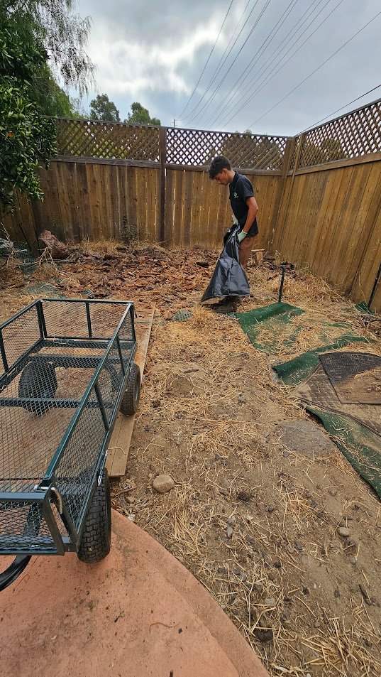 Image gallery marquee