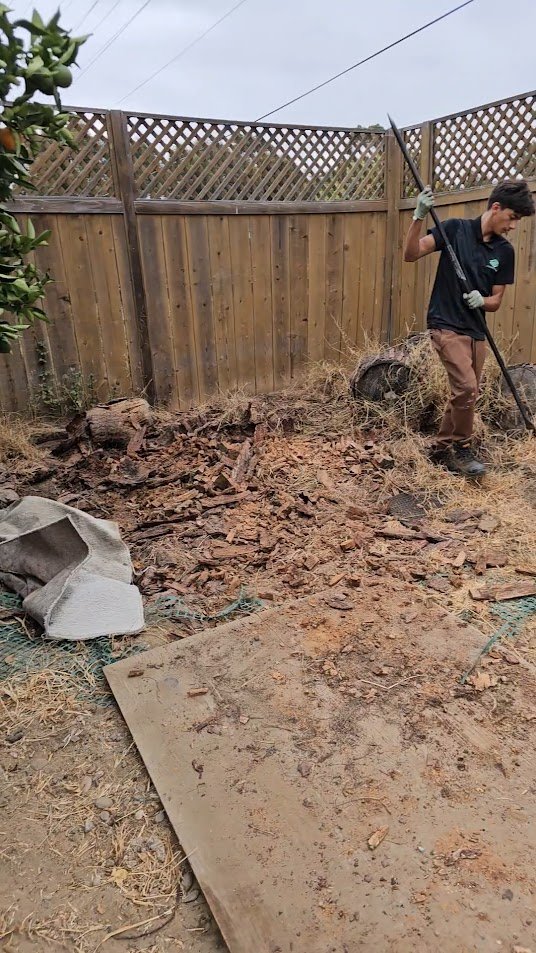 Image gallery marquee